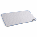 The OrthoPaw Cooling Mat